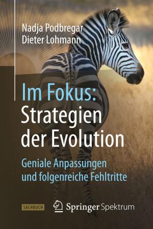 Book cover of Im Fokus: Strategien der Evolution