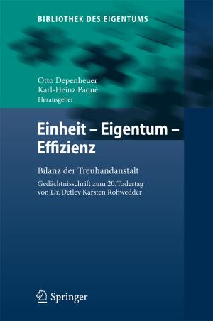 Cover of the book Einheit - Eigentum - Effizienz by 