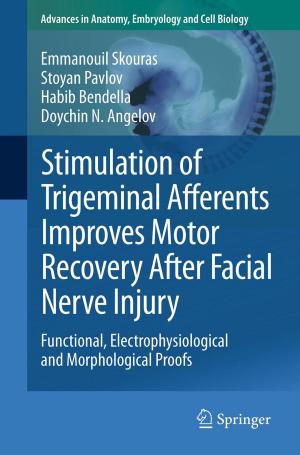 Cover of the book Stimulation of Trigeminal Afferents Improves Motor Recovery After Facial Nerve Injury by Jürgen Münch, Ove Armbrust, Martin Kowalczyk, Martín Soto
