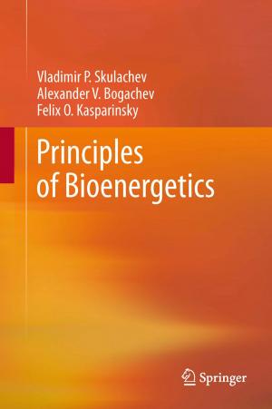 Cover of the book Principles of Bioenergetics by Nadja Podbregar, Dieter Lohmann