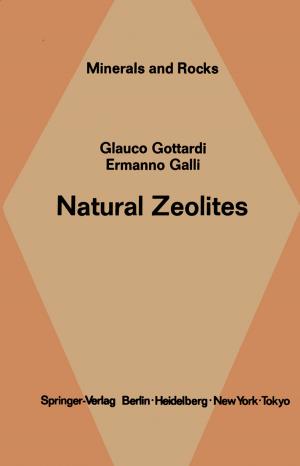 Cover of the book Natural Zeolites by 