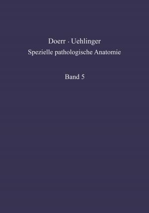 Cover of Grundzüge einer historischen und geographischen Pathologie / Pathological Anatomy of Mediterranean and Tropical Diseases