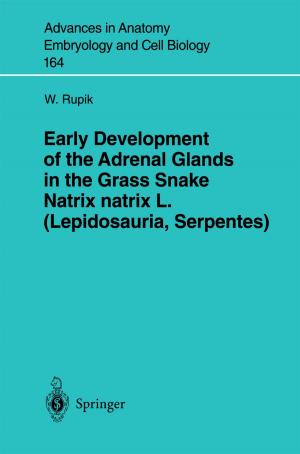 Cover of the book Early Development of the Adrenal Glands in the Grass Snake Natrix natrix L. (Lepidosauria, Serpentes) by CMR of Xiamen University
