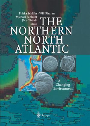 Cover of the book The Northern North Atlantic by Fiorentino Marco Lubelli