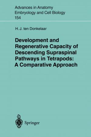 Cover of the book Development and Regenerative Capacity of Descending Supraspinal Pathways in Tetrapods by Jürgen Kletti, Jochen Schumacher
