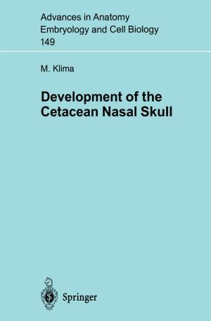 Cover of the book Development of the Cetacean Nasal Skull by Dieter Ahlert, Benjamin Schefer