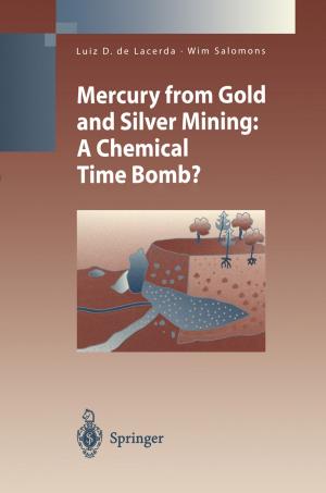 Cover of the book Mercury from Gold and Silver Mining by Dieter Lohmann, Nadja Podbregar