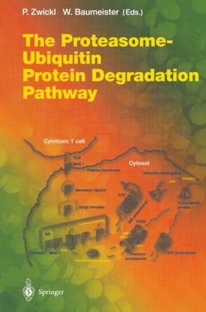 Cover of the book The Proteasome — Ubiquitin Protein Degradation Pathway by E.S. Amis, W. Anzböck, L.R. Bigongiari, K.S. Cho, E.J. Doganiero, G.W. Friedland, P.F. Fritzsche, W. Hruby, B. Hsu, W. Krampla, E.K. Lang, H.M. Levy, R.F. Mattrey, R.W. McCallum, R.M. Morse, D.S: Moss, H. Mosser, J. Ortenberg, J.A. Parker, I. Perkash, J.M. Pisco, G.L Popky, M.I. Resnick, L.M. Sanders, G.M. Segall, D.B. Spring, M. Urban, J.C. Winters, H. Zarnow