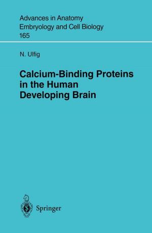 Cover of the book Calcium-Binding Proteins in the Human Developing Brain by Jürgen Bloech, Ronald Bogaschewsky, Udo Buscher, Anke Daub, Uwe Götze, Folker Roland