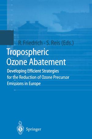 Cover of the book Tropospheric Ozone Abatement by Jian-Liang Lin, Hong-Sen Yan