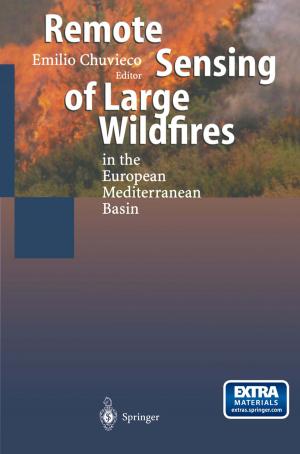 Cover of the book Remote Sensing of Large Wildfires by G. Julius Vancso, Holger Schönherr