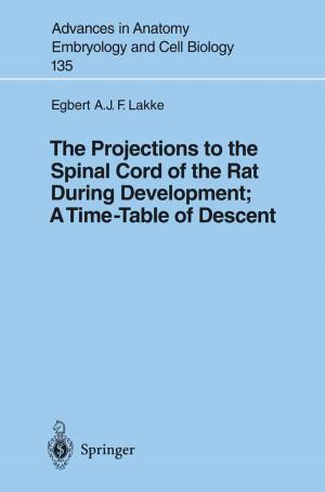 Cover of the book The Projections to the Spinal Cord of the Rat During Development: A Timetable of Descent by T. Lok Tio