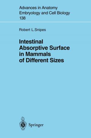 Cover of the book Intestinal Absorptive Surface in Mammals of Different Sizes by Günter Kessler, Anke Veser, Franz-Hermann Schlüter, Wolfgang Raskob, Claudia Landman, Jürgen Päsler-Sauer