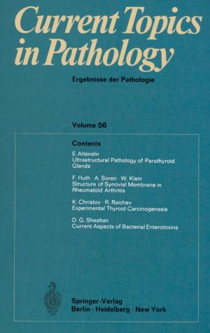 Cover of the book Current Topics in Pathology / Ergebnisse der Pathologie by Walter Borchardt-Ott, Heidrun Sowa