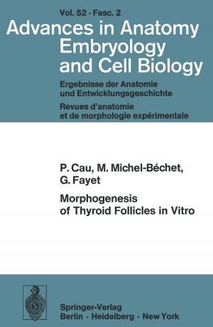 Cover of the book Morphogenesis of Thyroid Follicles in Vitro by Hannes Spengler, Horst Entorf