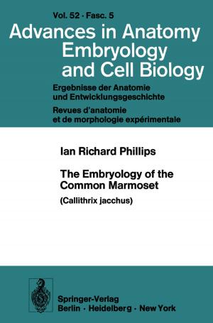 Cover of the book The Embryology of the Common Marmoset by Wolfgang W. Osterhage