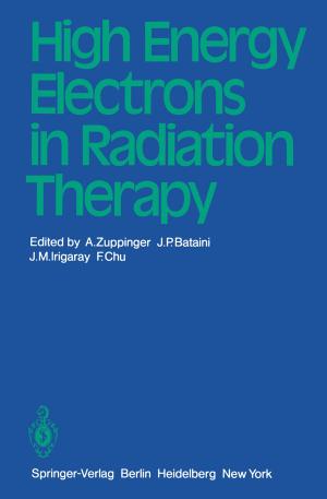 Cover of the book High Energy Electrons in Radiation Therapy by Luis Parrilla Roure, Antonio Lloris Ruiz, Antonio García Ríos, Encarnación Castillo Morales