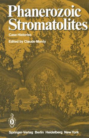 Cover of the book Phanerozoic Stromatolites by Chengyu Alex Fang, Jing Cao