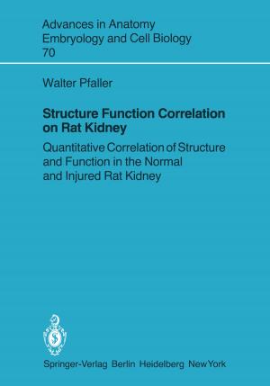 Cover of the book Structure Function Correlation on Rat Kidney by Stefan Tappe
