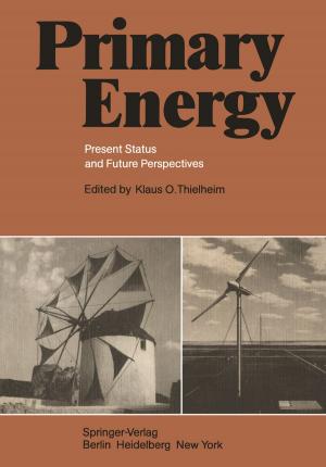 Cover of the book Primary Energy by Egbert Jahn