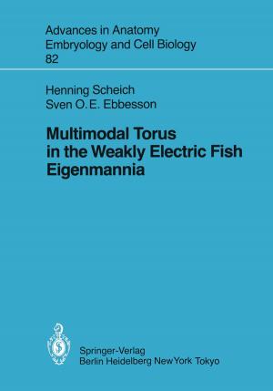 Cover of the book Multimodal Torus in the Weakly Electric Fish Eigenmannia by Deng-Feng Li