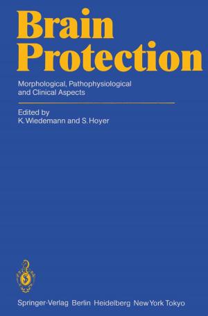 Cover of the book Brain Protection by Mihail-Dan Staicovici