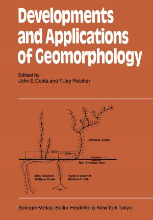 Cover of the book Developments and Applications of Geomorphology by Vicenç Méndez, Daniel Campos, Frederic Bartumeus