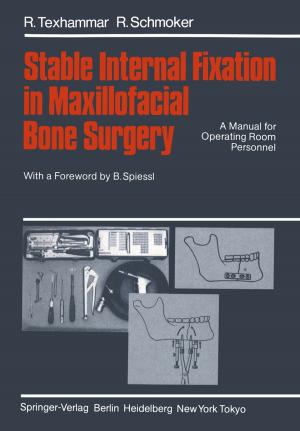 Cover of the book Stable Internal Fixation in Maxillofacial Bone Surgery by Henrik Christoffersen, Michelle Beyeler, Reiner Eichenberger, Peter Nannestad, Martin Paldam