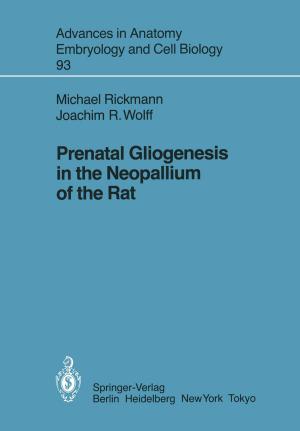 Cover of the book Prenatal Gliogenesis in the Neopallium of the Rat by Witold Zatonski, K. Gottesmann, Nikolaus Becker, A. Mykowiecka, J. Tyczynski