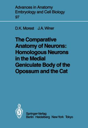 Cover of the book The Comparative Anatomy of Neurons: Homologous Neurons in the Medial Geniculate Body of the Opossum and the Cat by Natalie Grams