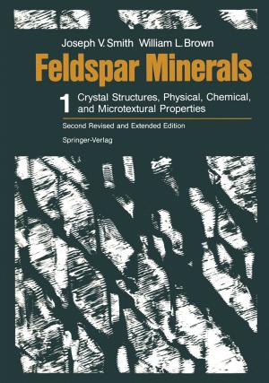 Cover of the book Feldspar Minerals by Samuel Dasberg, Dani Or