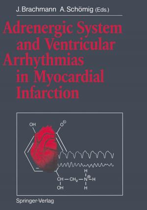 Cover of the book Adrenergic System and Ventricular Arrhythmias in Myocardial Infarction by Bernhard Korte, Jens Vygen