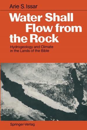 Cover of the book Water Shall Flow from the Rock by Dexin Jiang, Eleanora I. Robbins, Yongdong Wang, Huiqiu Yang