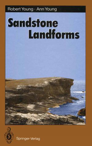Cover of the book Sandstone Landforms by John B. Parkinson, Damian J. J. Farnell
