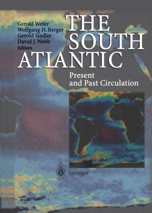 Cover of the book The South Atlantic by Rakhi Kaila, M. M. Kaila
