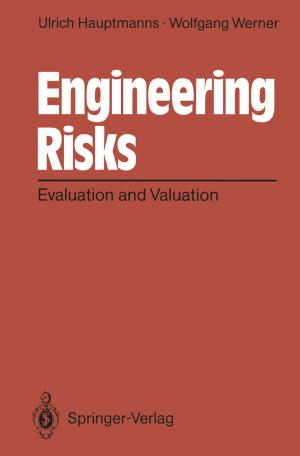 Cover of the book Engineering Risks by Ebru A. Gencer