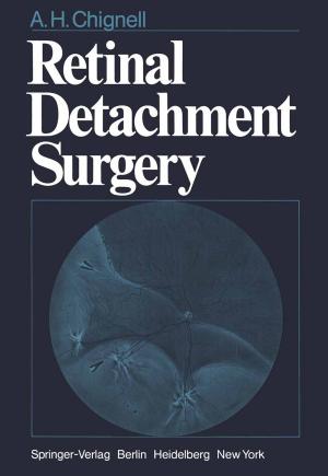Cover of the book Retinal Detachment Surgery by Hidetoshi Marubayashi, Fred Van Oystaeyen