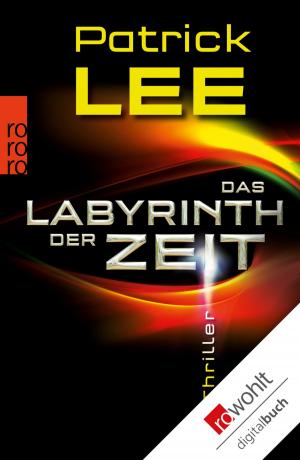 Cover of the book Das Labyrinth der Zeit by Axel Krohn