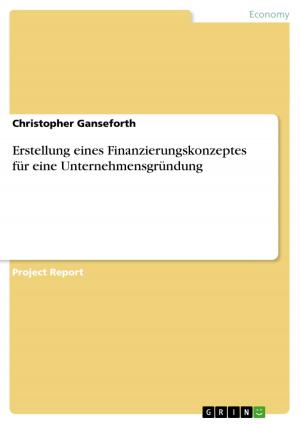 Cover of the book Erstellung eines Finanzierungskonzeptes für eine Unternehmensgründung by Holger Hoppe