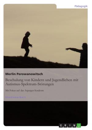 Cover of the book Beschulung von Kindern und Jugendlichen mit Autismus-Spektrum-Störungen by Stefan Reith