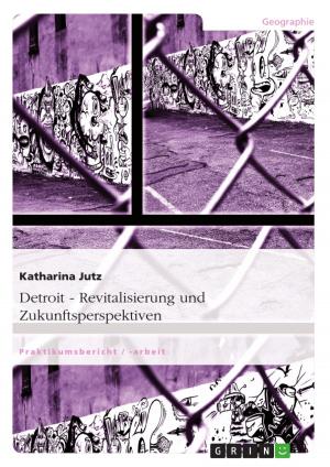 Cover of the book Detroit. Revitalisierung und Zukunftsperspektiven by Janine Wittfeld