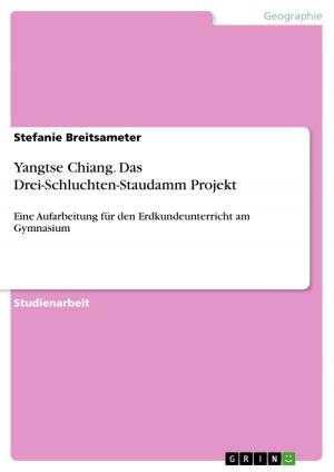 Cover of the book Yangtse Chiang. Das Drei-Schluchten-Staudamm Projekt by Jan-Henrik Koßmann, Thomas Schmidt