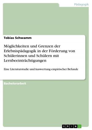 Cover of the book Möglichkeiten und Grenzen der Erlebnispädagogik in der Förderung von Schülerinnen und Schülern mit Lernbeeinträchtigungen by Miriam Sowa