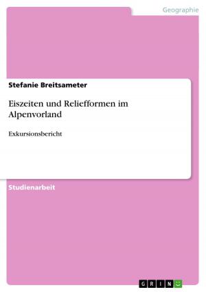 Cover of the book Eiszeiten und Reliefformen im Alpenvorland by Felix Franke
