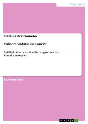 Cover of the book Vulnerabilitätsassessment by Dajana Geffken