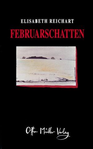 Cover of the book Februarschatten by Robert Obermair