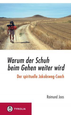 Cover of the book Warum der Schuh beim Gehen weiter wird by Clemens Sedmak