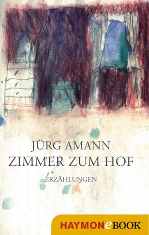 Cover of the book Zimmer zum Hof by Manfred Rebhandl