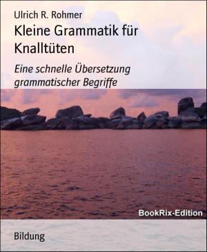 Cover of the book Kleine Grammatik für Knalltüten by Branko Perc