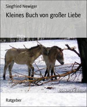 Cover of the book Kleines Buch von großer Liebe by Branko Perc